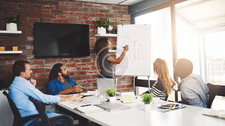 Design & Development